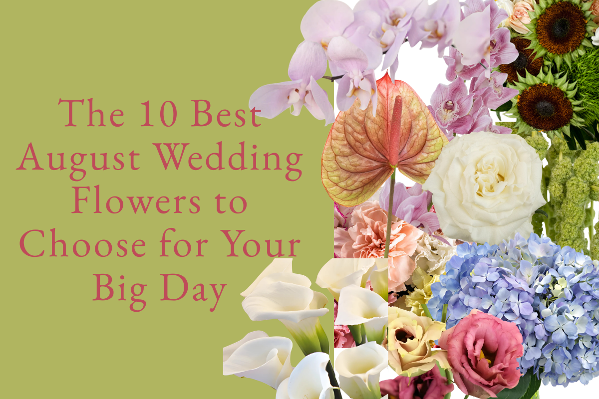 The 10 Best August Wedding Flowers to Choose for Your Big Day - Fif...