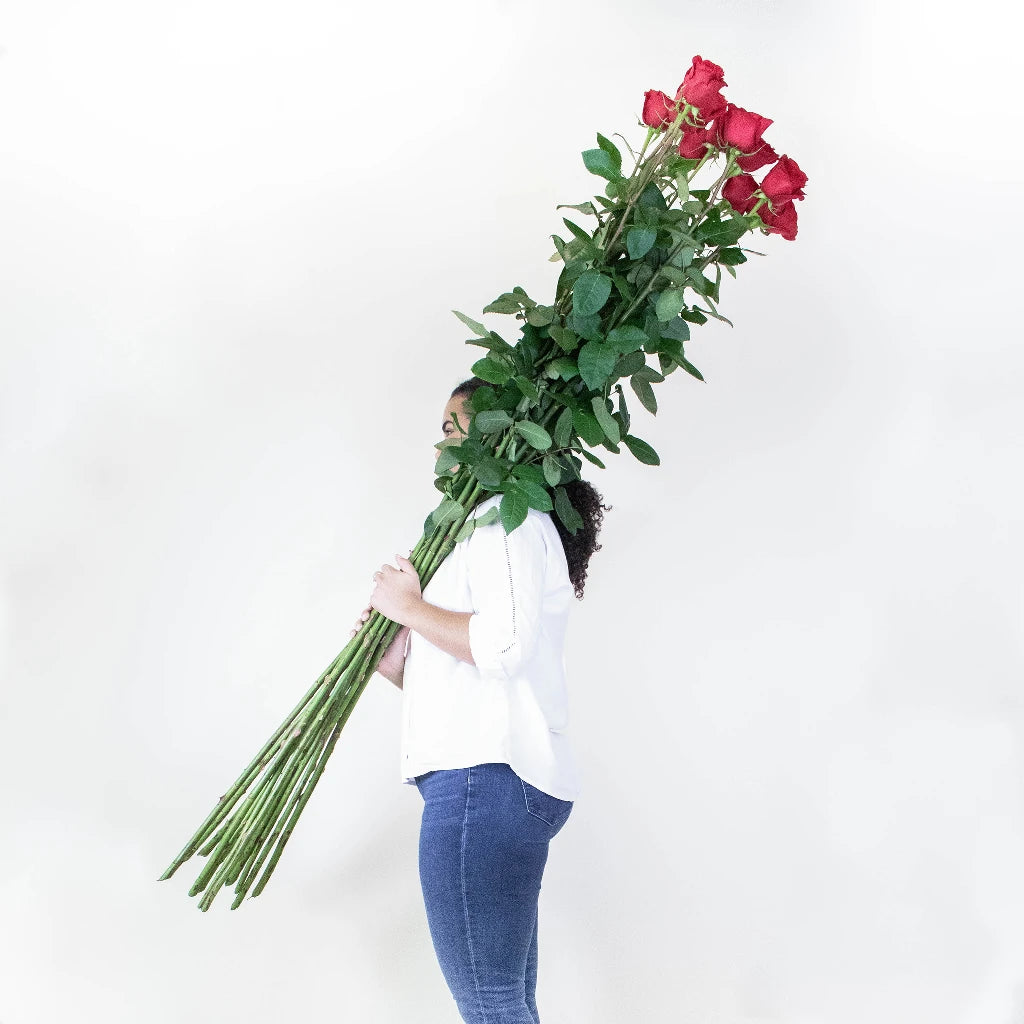 Buy Wholesale Extra Long Stemmed Red Rose in Bulk