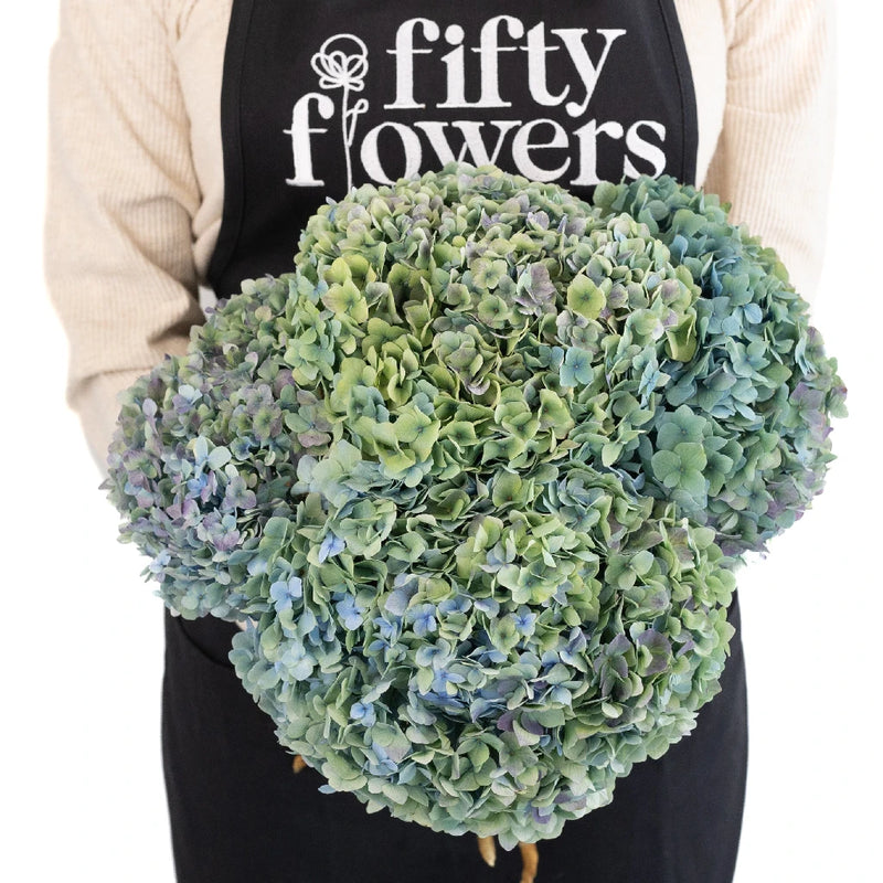 Antique Hydrangea Blue And Green Vintage Flower Apron - Image