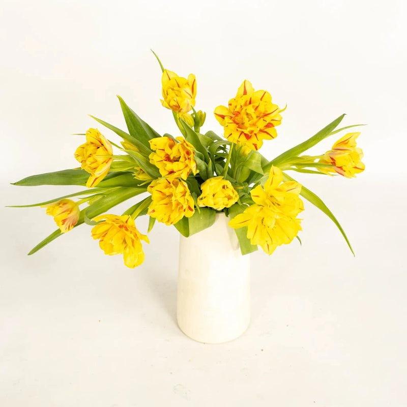 Bicolor Novelty Tulips Vase - Image
