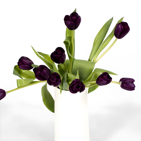 Black Jack Tulip Flower Vase - Image