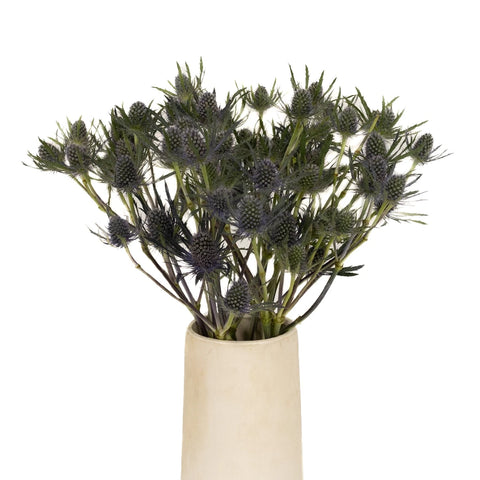 Blue Thistle Flower Vase - Image