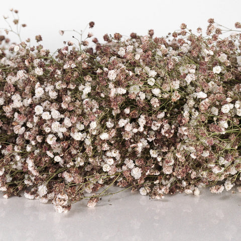 Coffee Toffee Baby's Breath Tinted Garland Close Up - Image
