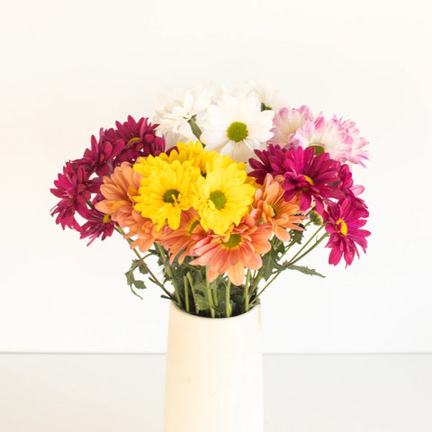 Daisy Assorted Colors Flower Stem - Image