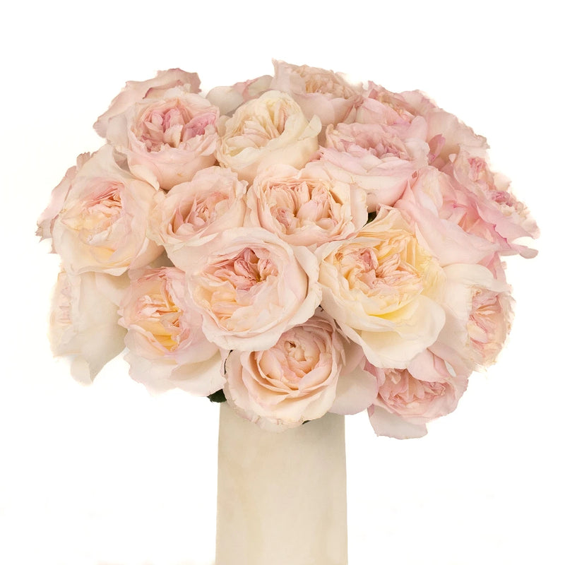 David Austin Keira Garden Rose Vase - Image