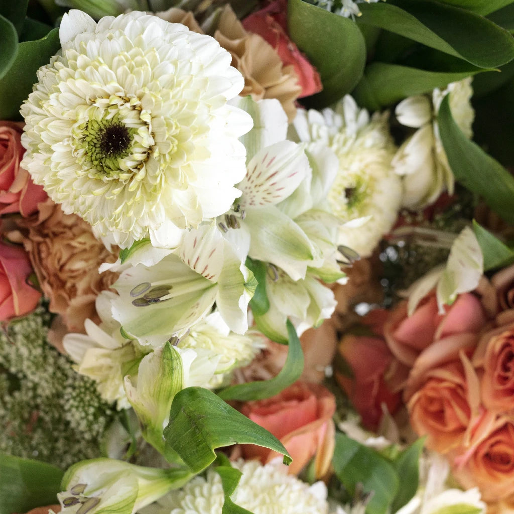 Bulk Wedding Flower DIY Package - Apricot and Cream – DaisyDIYFlowers