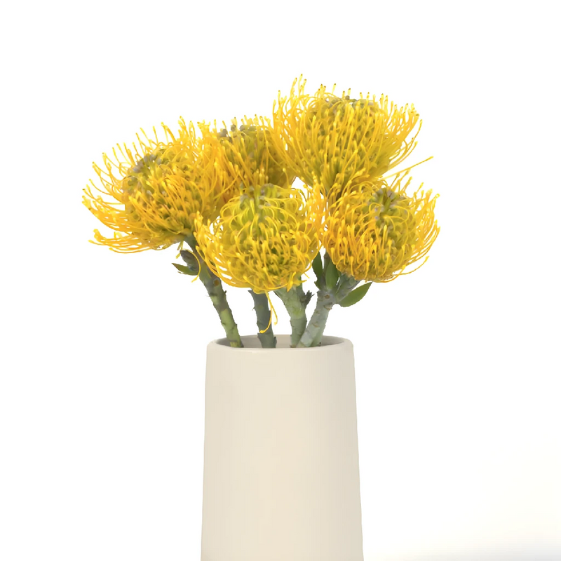 Lemon Twist Pin Cushion Flower Vase - Image