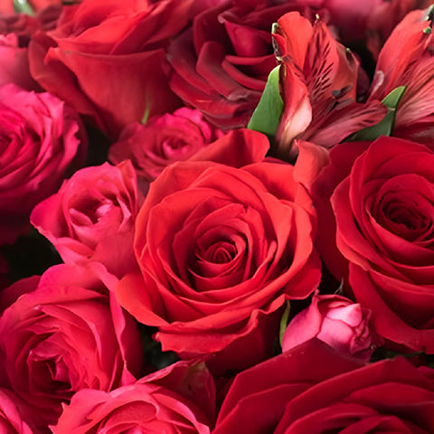 Love Is Kind Red Rose Arrangement Close Up - Image