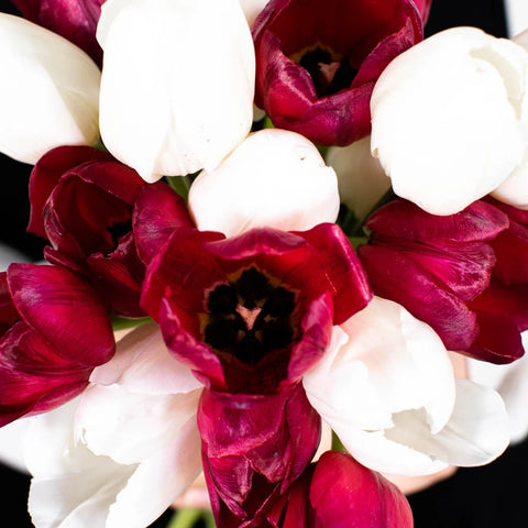 Love Pack Bulk Tulip Flowers Stem - Image