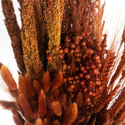 Monochromatic Brown Dried Flower Kit Close Up - Image