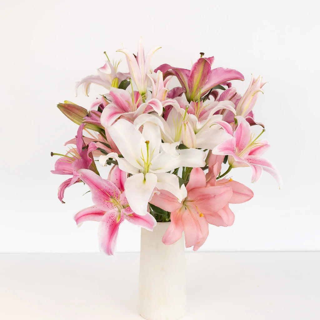 lily flower for mother's day Assorted Color Oriental Lilies For Mothers Day