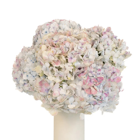 Pale Vintage Hydrangea Flower Vase - Image