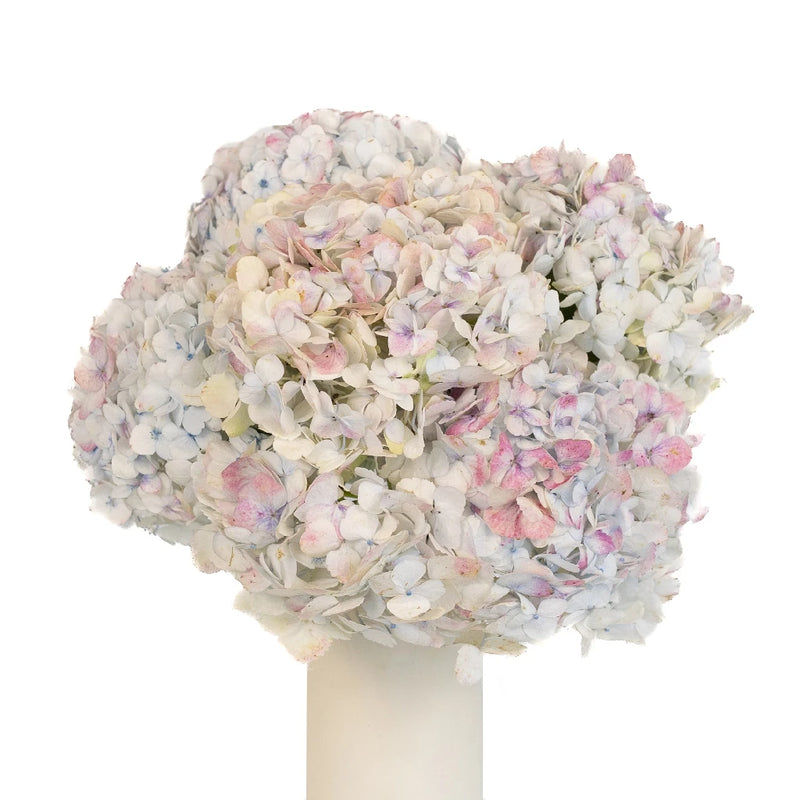Pale Vintage Hydrangea Flower Vase - Image