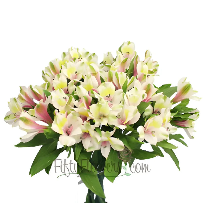 Pink Forest Peruvian Lilies Vase - Image