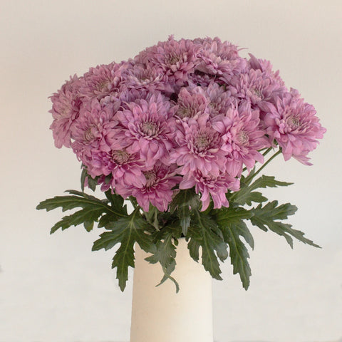 Pink Lavender Frost Dahlia Style Flower Vase - Image