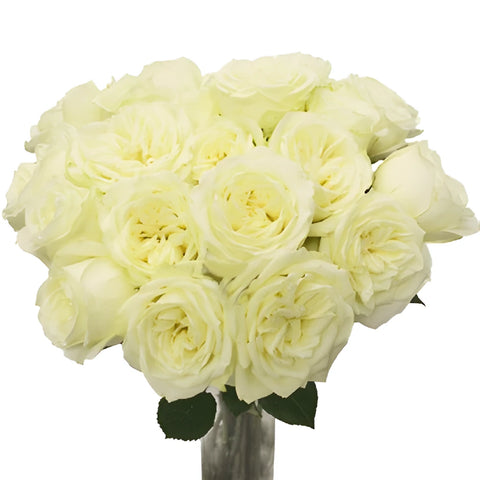 Polo White Wholesale Roses Vase - Image