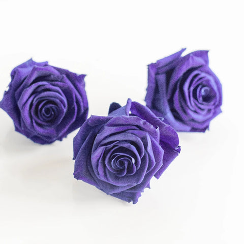 Preserved Pale Violet Rose Stem - Image
