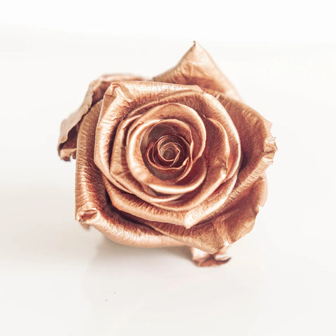 Preserved Rose Gold Rose Close Up - Image