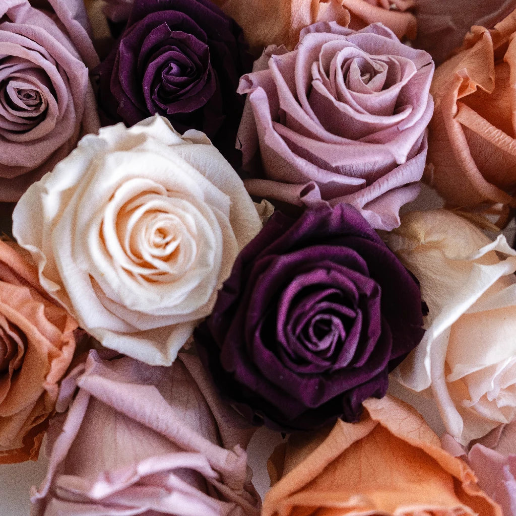 Buy Wholesale Preserved Vintage Mauve Rose Mix in Bulk - FiftyFlowers