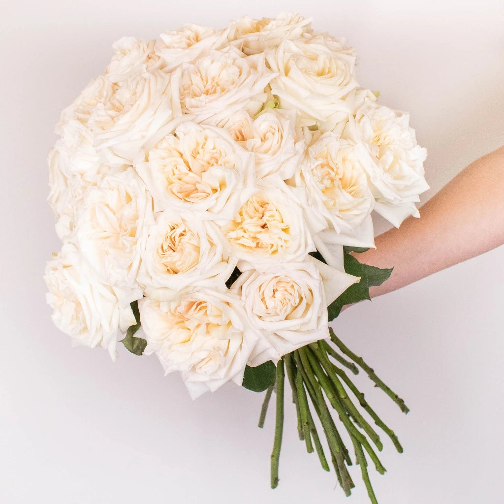 Buy Wholesale Flawless White Ohara Garden Rose Bouquet in Bulk - Fi