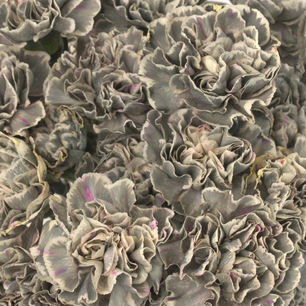 product-5798-hint-of-gray-
