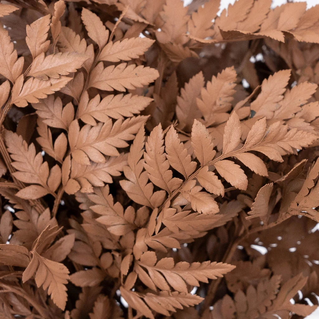 Buy Wholesale Mocha Mousse Tinted Leather Leaf Greenery in Bulk - F