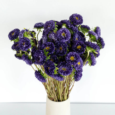 Purple Matsumoto Flowers Stem - Image