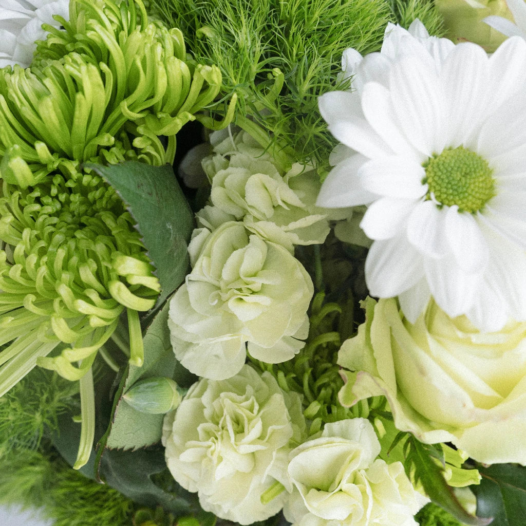 So Fresh, So Green DIY Combo Pack | DIY Wedding Flowers | FiftyFlowers