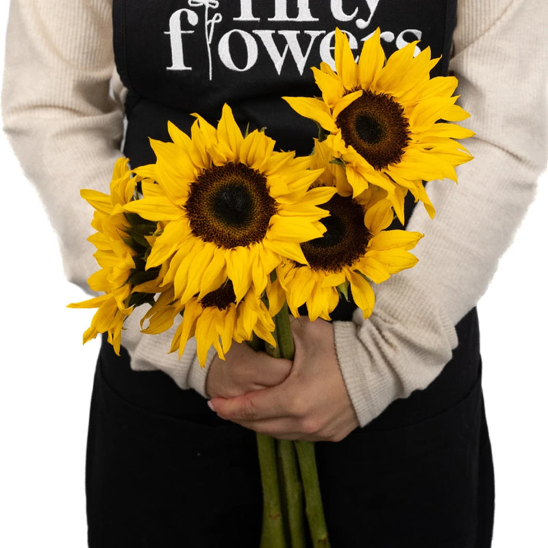 Sunflowers Apron - Image