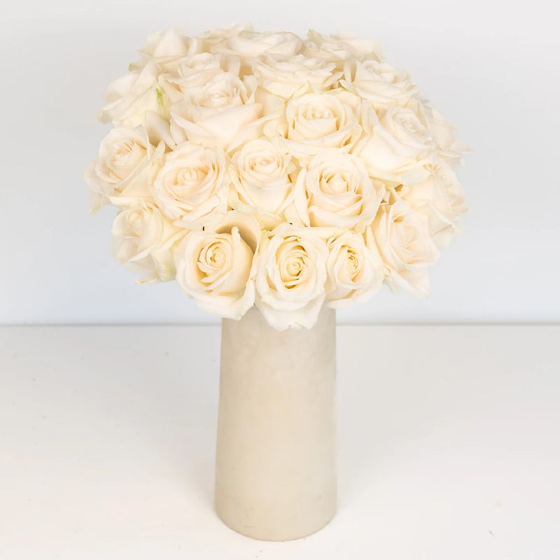 Vendela Ivory Rose Vase - Image