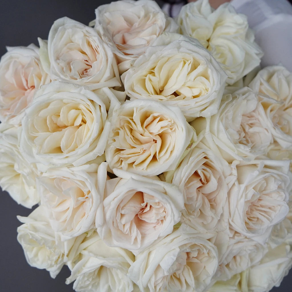 2 Dozen Rose Petals, Wedding planning & consultation services