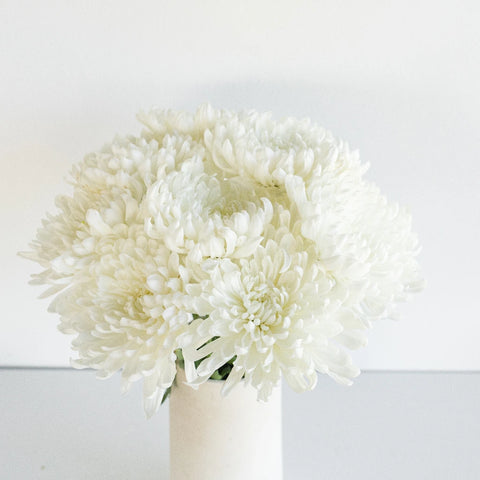 Zembla Cremon White Flower Vase - Image
