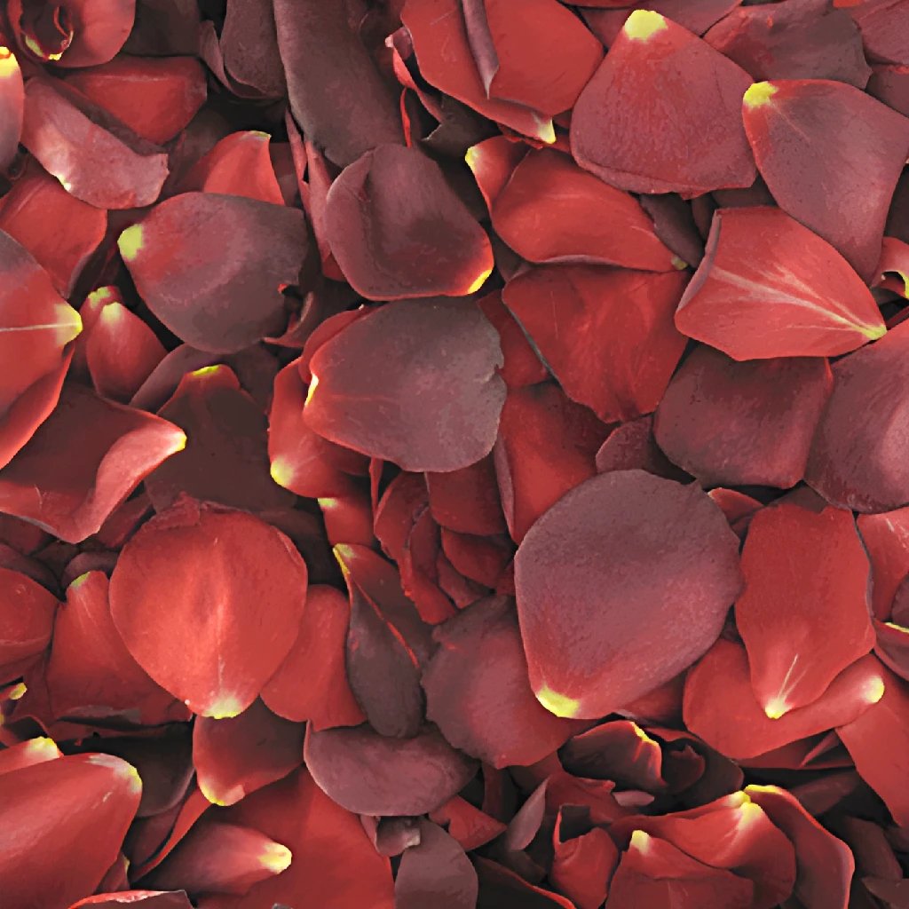 Freeze Dried Rose Petals - Romantic Red - Special Order Only - 50 cups