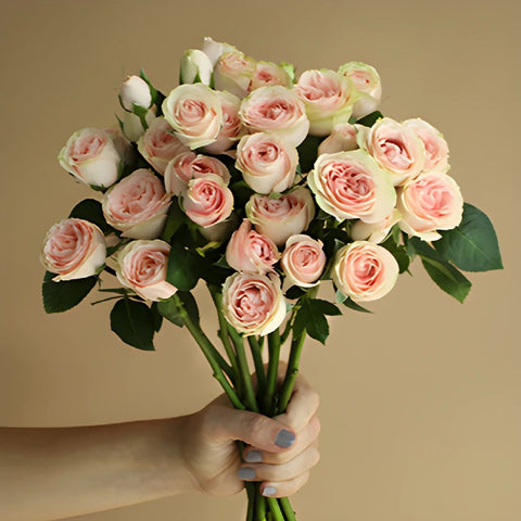 Pink Spray Rose Bunch in a hand