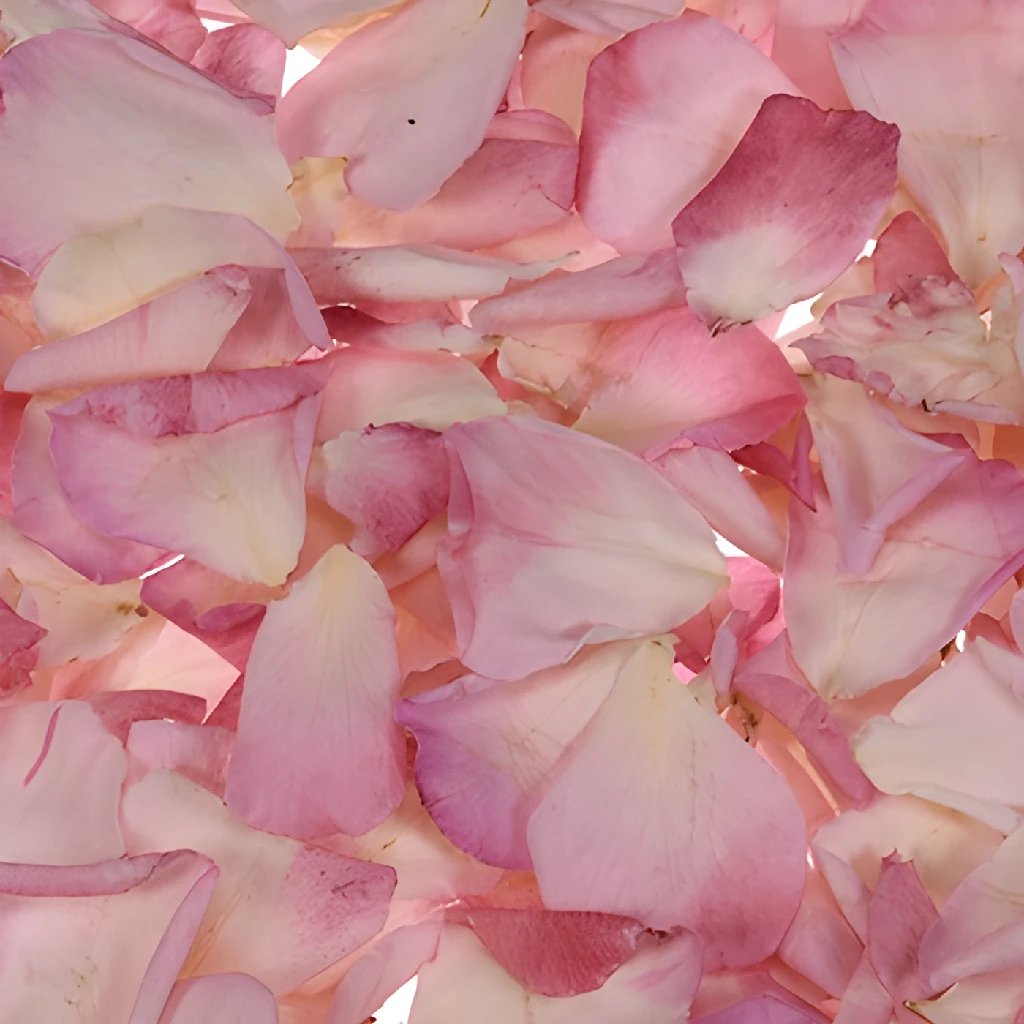 Red Hot Dried Rose Petals