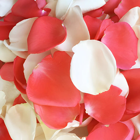 Cool Coral Dried Rose Petals