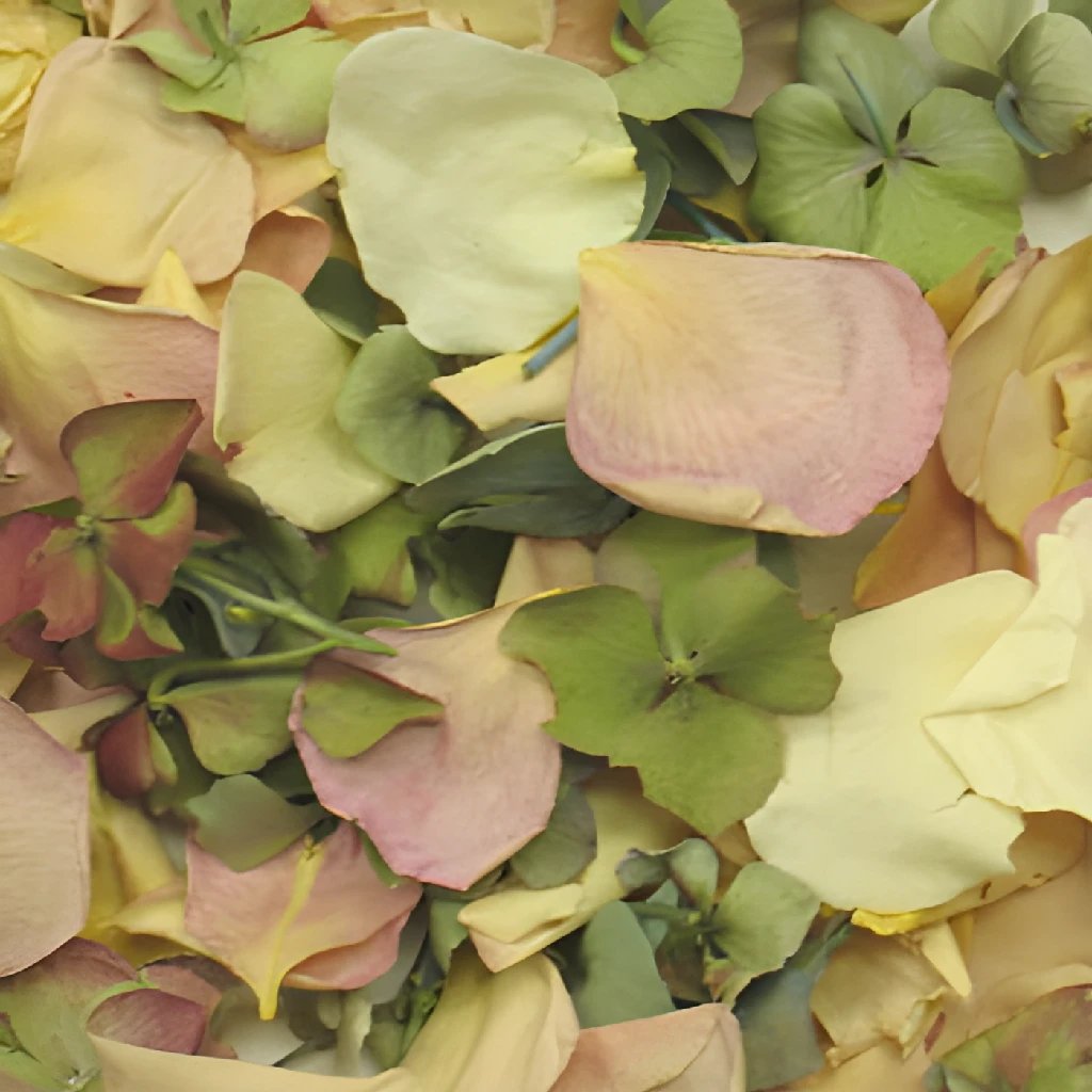 A Mix of Brights Dried Wedding Petals