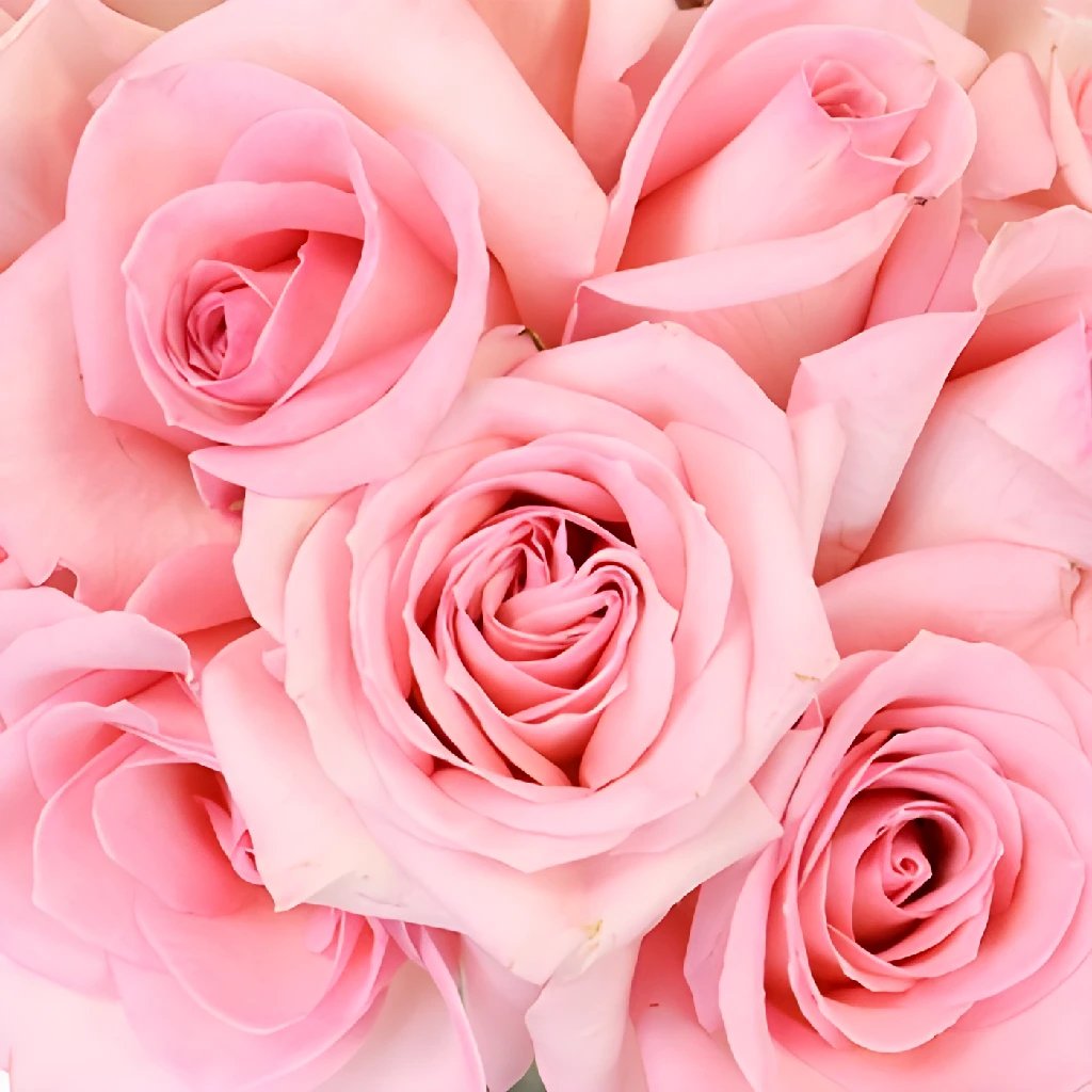 Buy Wholesale Mothers Day Charming Pink Bulk Sweetheart Roses In Bu...