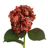 Marsala Airbrushed Hydrangea Flower