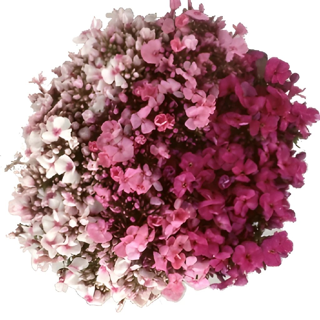 Silk Rose Petals, 300 Bright Pink petals