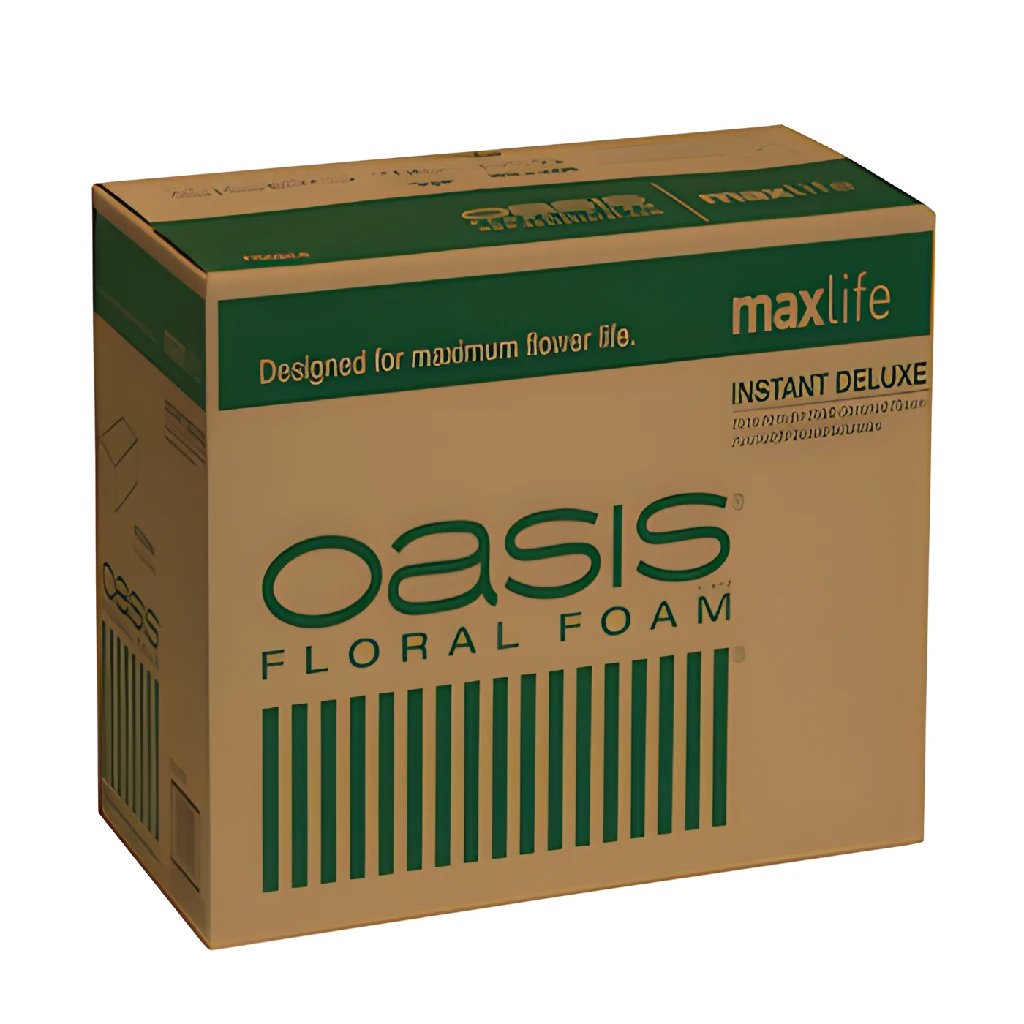 Oasis Floral Products Floral Foam Brick, 2 Pack