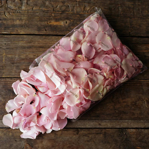 Light Pink Fresh Rose Petals Wholesale