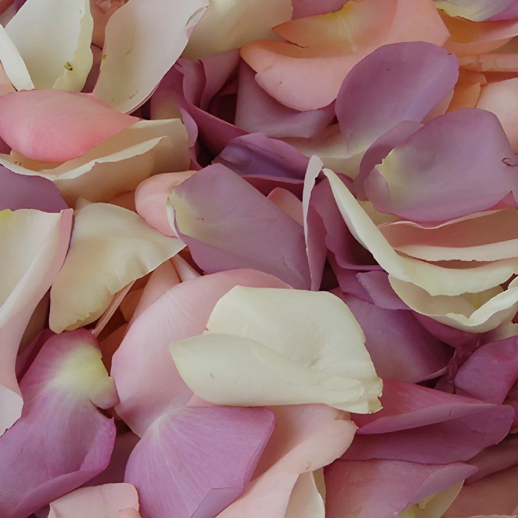 Fresh Rose Petals Blush