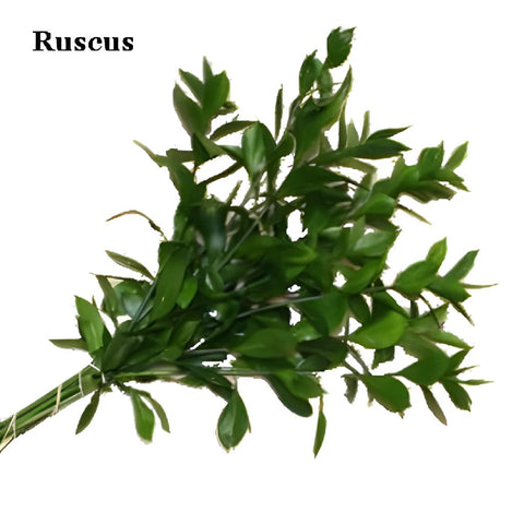 Salal and Ruscus Greens Garland