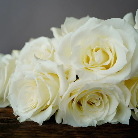 Valentines White Rose Special