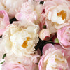 Blush Pink Peonies Flower June Delivery