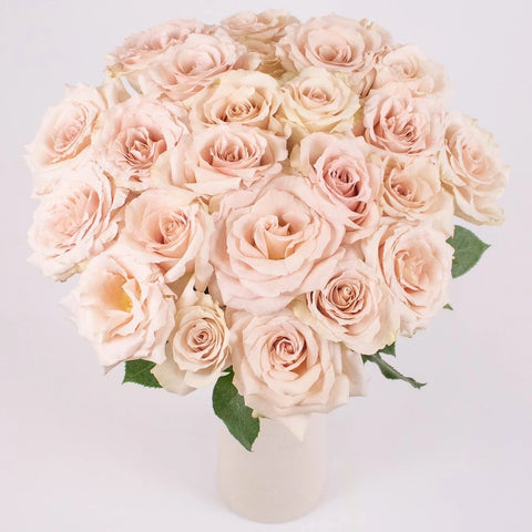 Bridesmaid Blush Garden Roses in Vase
