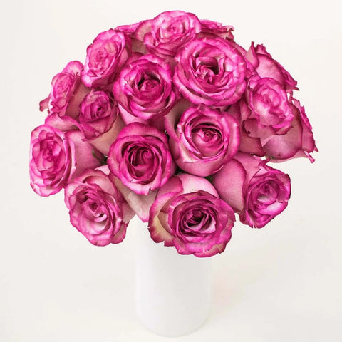 bunch of white roses with pink edges in a vase.