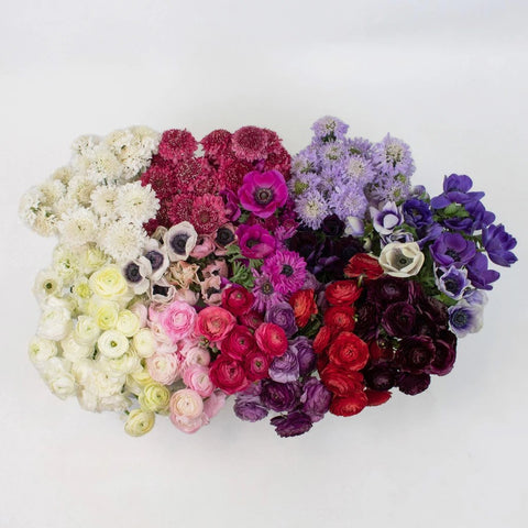 Burgundy Blush DIY Wedding Flower Pack