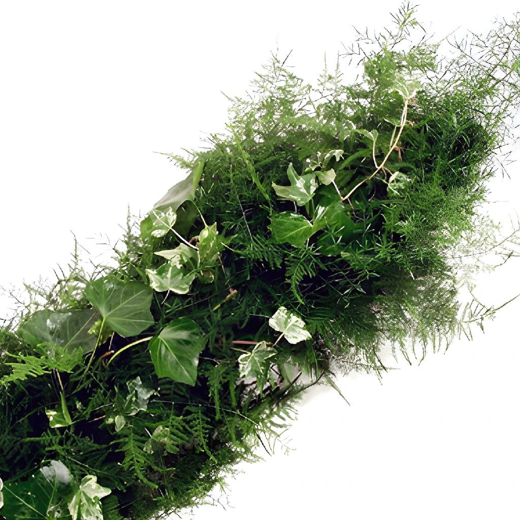 Fresh Greenery Wedding Garland - 1 Item - Tree Fern - Potomac Floral  Wholesale